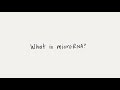 What Is MicroRNA MiRNA