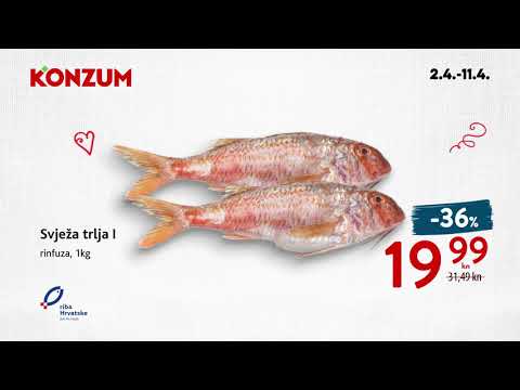 Ponuda ribe 2.4.-11.4.