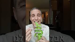 זהו סרטון אחרון על הבזיליקום