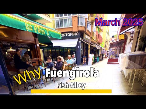Fish Alley Fuengirola information video – what to see