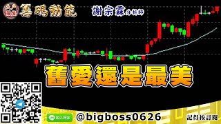 【大戶羅盤籌碼動能】 #謝宗霖1104，舊愛還是最美 (圖)