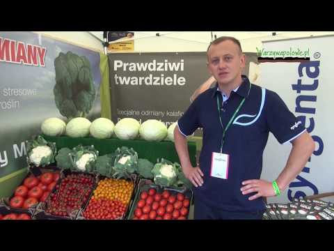 , title : 'Odmiany warzyw polowych rekomendowane do uprawy podczas Dnia Otwartego w firmie GPR Krasoń'