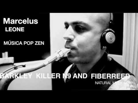 Music Pop Zen/ Killer n 9 and Fiberreed Natural Medium