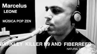 Music Pop Zen/ Killer n 9 and Fiberreed Natural Medium