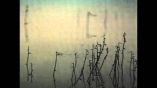 Tenhi - Hallavedet (The Glacial Waters)