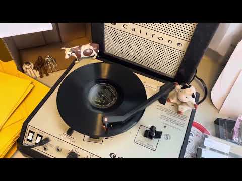 Five Harmoniacs “Coney Island Washboard” Victor 20293