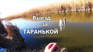 Рыбалка в краснодарском крае бриньковская