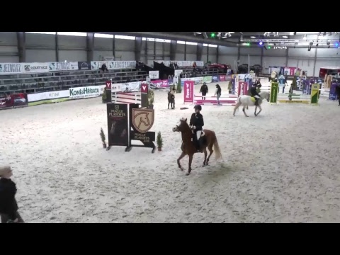 Jezdecký festival 2018 - Soutěž č. 2: ponyhandicap LP