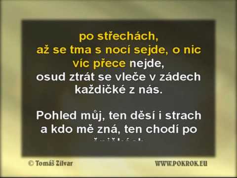 Kočka na rozpálený střeše - Ewa Farna