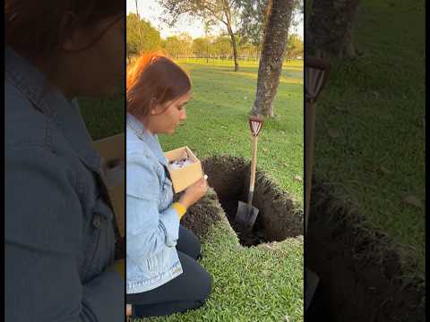 Mis dos perritos gemelos se fueron #viralvideo #puppy #yosoydelos7mil #perros #canilla #miradacanina