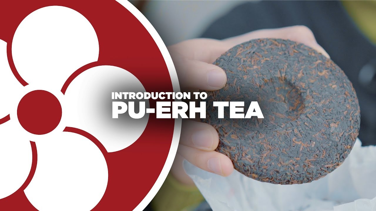 What is PU-ERH TEA? - YouTube