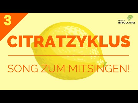 Citratzyklus Song: Citratzyklus lernen mit Eselsbrücken! (3/3) | Biochemie | HappyHippocampus