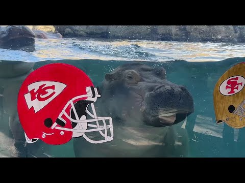 Fiona and Fritz pick teams ahead of title game