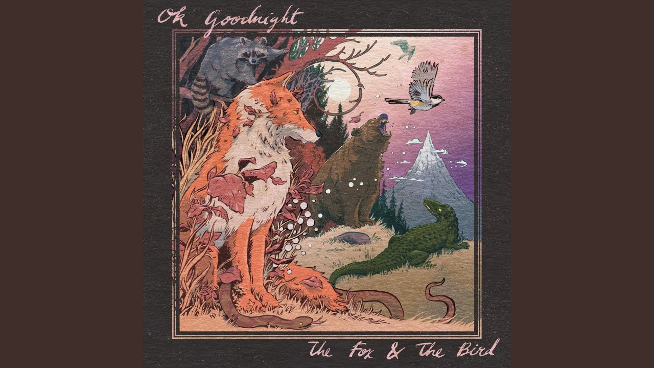 Ok Goodnight - The Crocodile