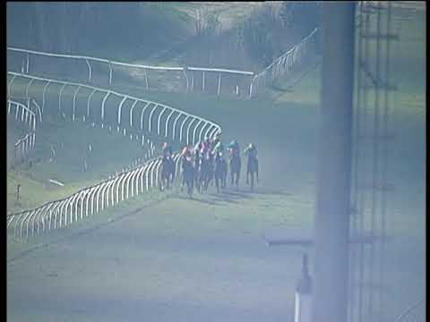 Galoppo 22/02/2019 - 5ª corsa