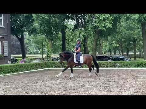 Faszination de Malleret