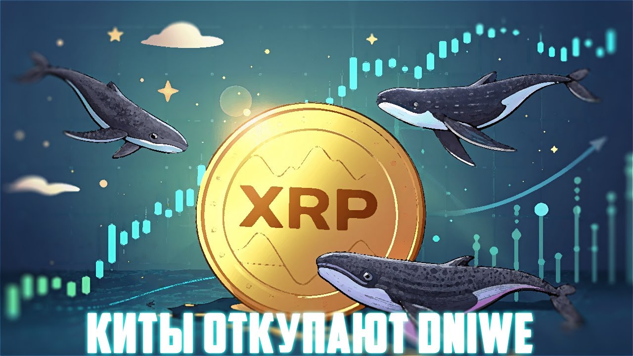 СРОЧНО! CIRCLE ЗАПУСТИЛА USDC НА БАЗЕ XRP LEDGER! RIPPLE И SEC СКОРО ЗАКОНЧАТ СУД? ПРОГНОЗ РИ