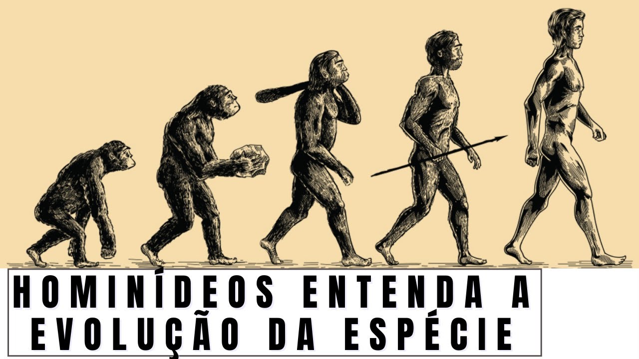Hominídeos | Evolução da Espécie