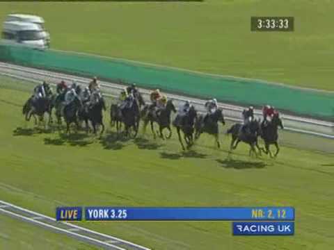 York Totesport Ebor Heritage Handicap 2009
