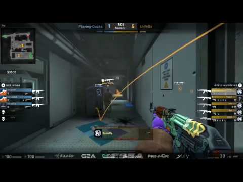 Happy ACE vs Playing Ducks