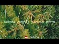 Ekkalamum Sthotharipen AS CREATION Tamil Christian WhatsApp Status