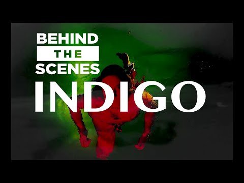 Versona - Indigo feat. Hendrixxx [Behind The Scenes]