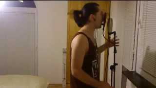 In Dying Arms - Bathed In Salt [vocal cover]