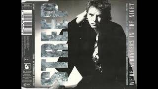 Streep - We're Strangers In The Night 12" The Voice Extended Maxi CD Mix