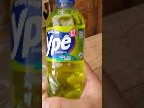 Homemade recipe to get rid of ants in your garden #myhome #grape #ants #shorts