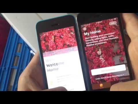 iPhone 5c vs 5s iOS 10.3.3 beta 2