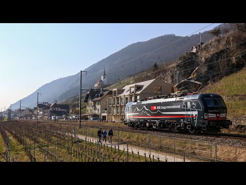 Br 193 658 Shadowpiercer