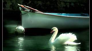 BRONCO, ENTRE EL CIELO Y EL INFIERNO