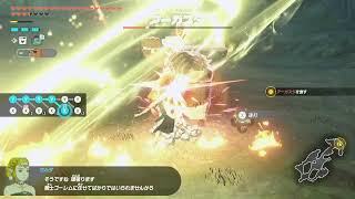 【スイッチ２】ゼルダ無双封印戦記【のんびり】
