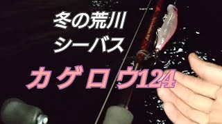 荒川シーバス調査　2024.12.7 カゲロウ124　スコーピオンmd200