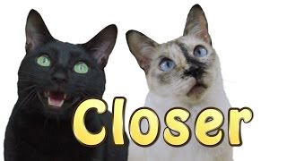 Closer-CatVersionTheChainsmokersCloserLyricft.Halsey