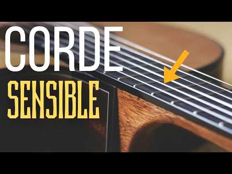 Pourquoi dit-on "TOUCHER LA CORDE SENSIBLE" ?