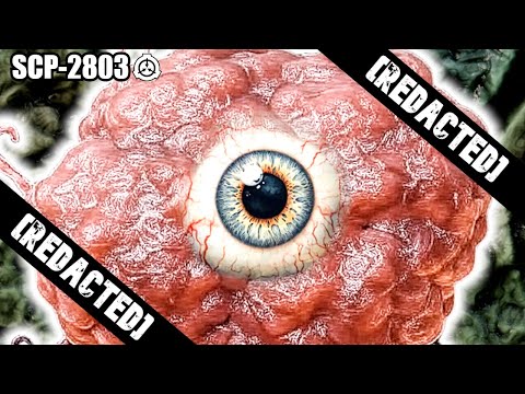 SCP-2803 "TotleighSoft Because COMPUTERS" – The Flesh-Computer That Makes Deadly Software