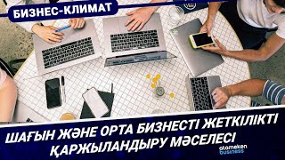 Шағын және орта бизнесті жеткілікті қаржыландыру мәселесі