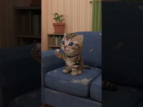 🦫 Tu gatita muerde todo y no es traviesa, es dentición...            #gato #curiosidades #animation