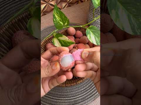 ASMR/Litchi / #litchi #fruitcutting #shorts #satisfying #asmr #viral #shortsviral #viralshort #4k