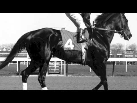 10 greatest race horses