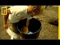 Drugs Inc