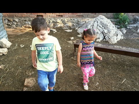 Ömer'le Eda tavuk kovalıyor🐥🐓💗😂tavuklar kümesten kaçtı😁çok eğlendik 😅🌸🐤