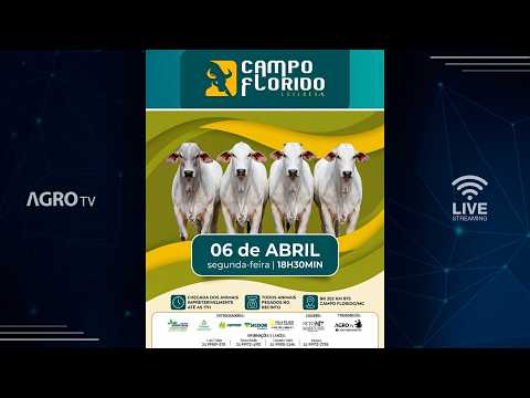 CAMPO FLORIDO LEILÕES - 06/04/2026