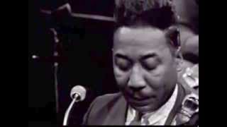 Can't Loose What You Ain't Never Had • Muddy Waters