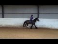 Riding Harvey