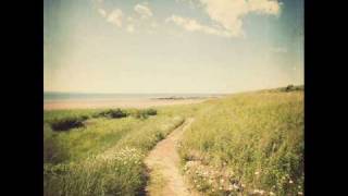 S .Carey    -    We Fell