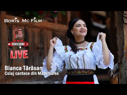 Bianca Tărăsan | Daniel Dogaru | Răzvan Roman -  Colaj cântece din Maramureș