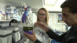 Research video on biological resource recovery completed and released