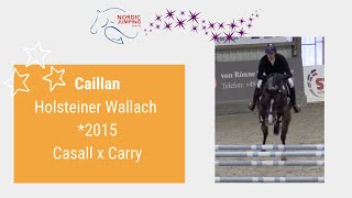 Video von Caillan